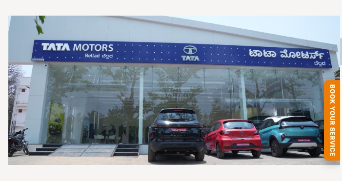 Tata Nexon view
